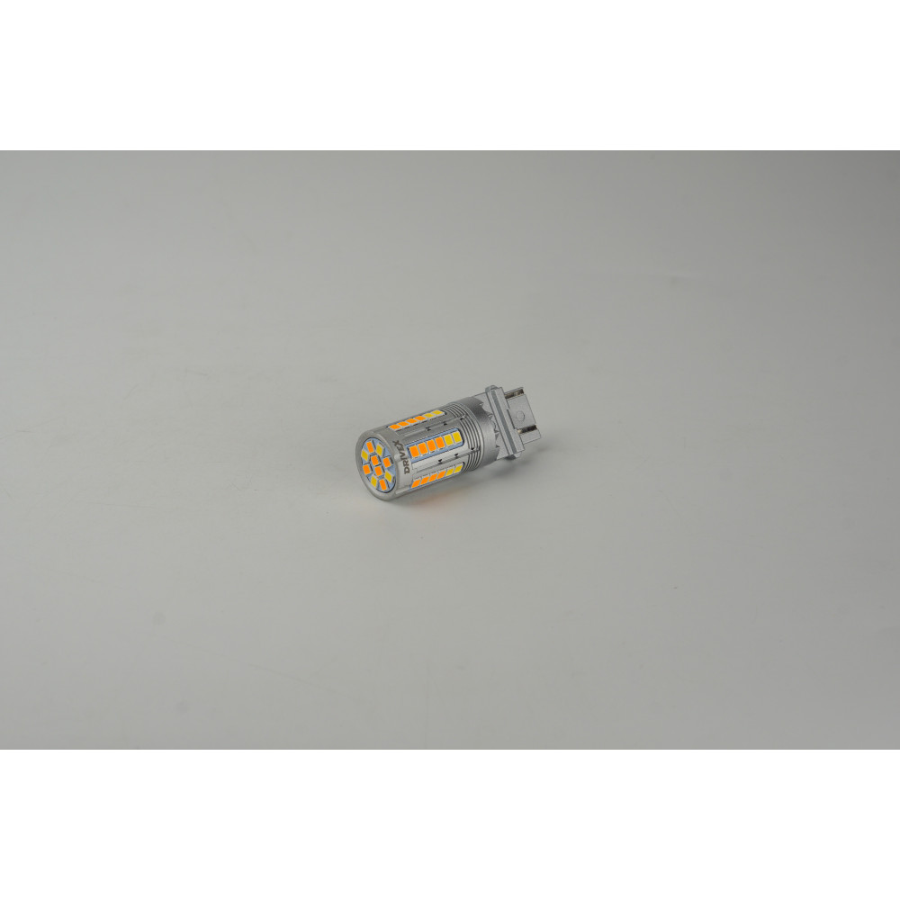 T25(2)-219 W+G 10-30V 24W CAN 2000Lm 3157/P27/7W base-16mm USA A