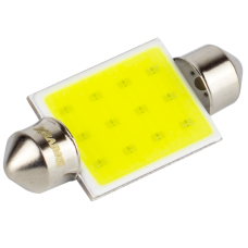 T11-217 39mm 12V 1.2W 100Lm C
